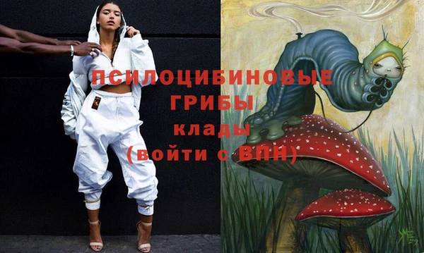 ГАЛЛЮЦИНОГЕННЫЕ ГРИБЫ Алексин